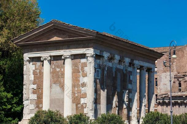 庙关于梭子蟹属或庙关于F或tuna维里里斯采用罗马