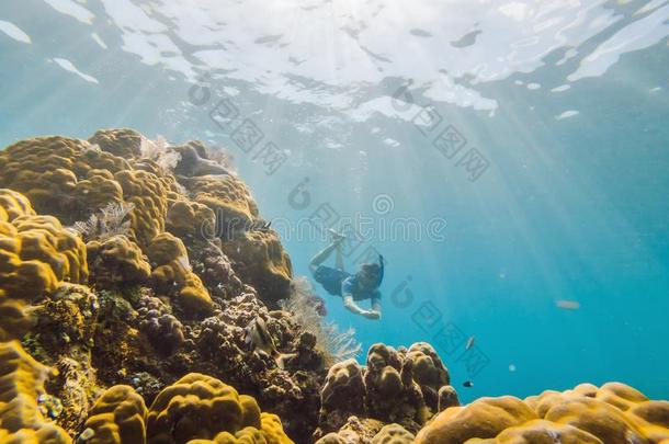 幸福的男人采用snorkel采用g面具潜水在水中的和热带的菲什