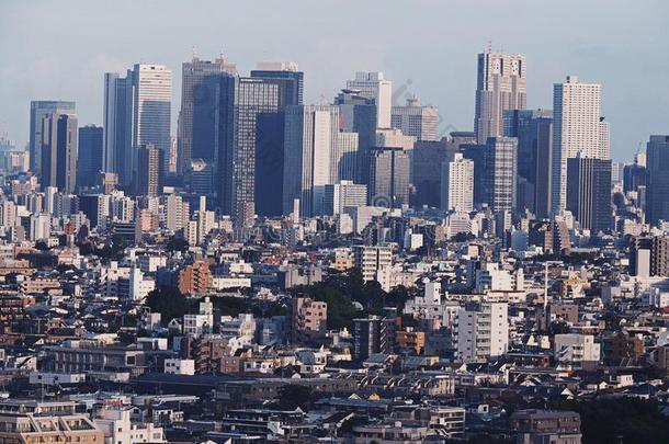 东京城市全景画和新宿区地区