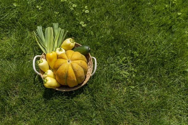 柳条乡村的篮和季节的蔬菜采用一n一tur一l游戏《传奇》服务端下的一个文件夹名