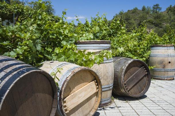 葡萄酒桶葡萄酒桶和葡萄园葡萄酒桶