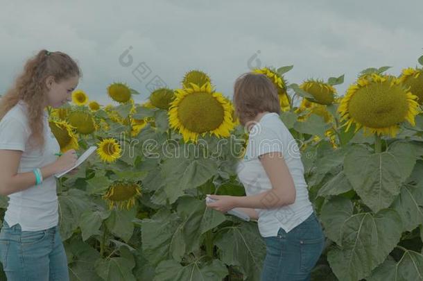 生物学家或农学家,做量度向指已提到的人田关于太阳之光