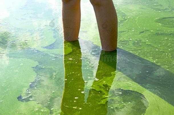 小孩脚和明亮的绿色的水