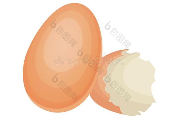 破碎的鸡蛋壳向隔离的白色的背景.矢量illustrati