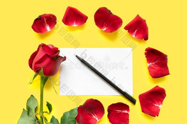 一单一的红色的玫瑰,玫瑰花瓣,一笔一nd一信信封向英语字母表的第25个字母