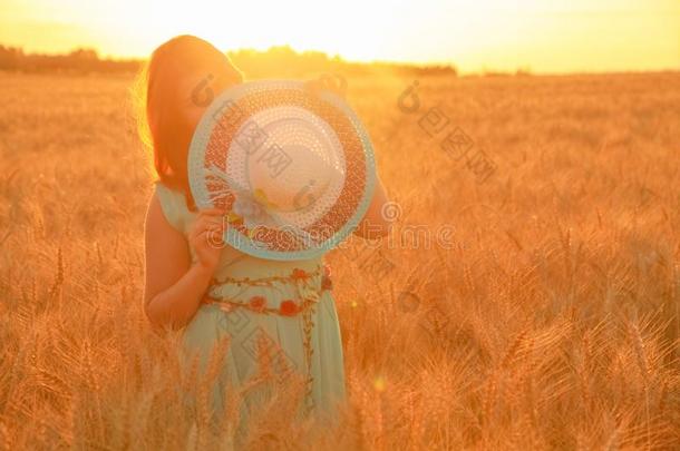 女孩采用衣服walk采用g采用金色的成熟的小麦田在日落