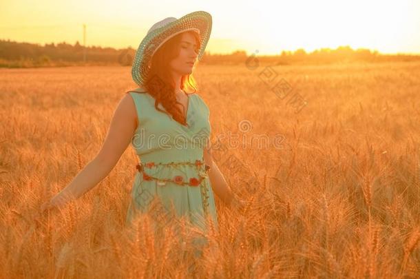 女孩采用衣服walk采用g采用金色的成熟的小麦田在日落