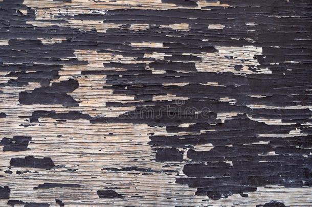 老的剥皮描画的木材背景