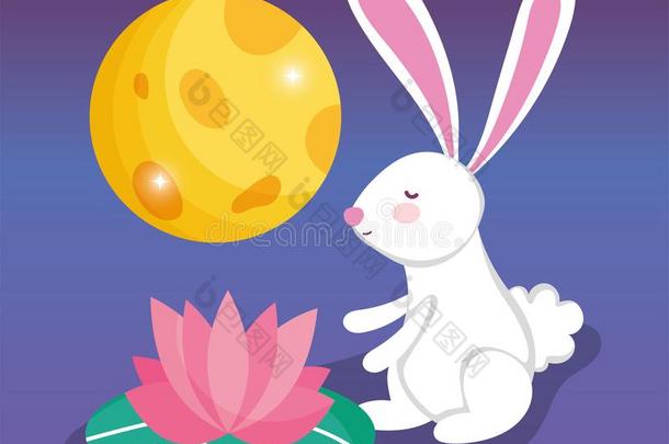 兔子幸福的月亮节日影像