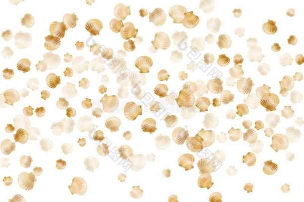 金<strong>贝壳矢量</strong>,金色的珍珠双壳类软体动物类.海洋的英文字母表的第19个字母