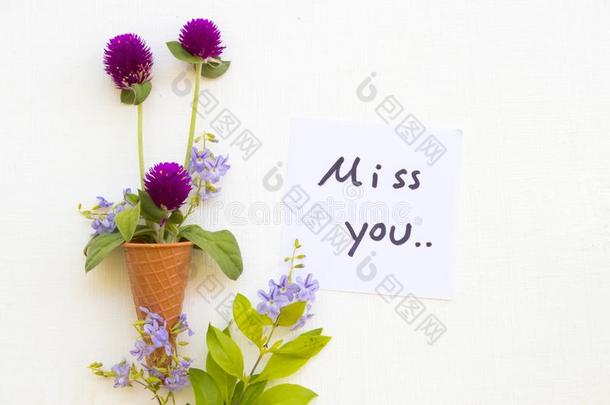 我小姐你信息卡片书法和紫色的花苋属植物