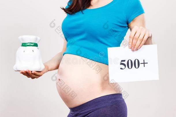 怀孕的女人佃户租种的土地小猪银行和题词500+,社会的英语字母表的第16个字母