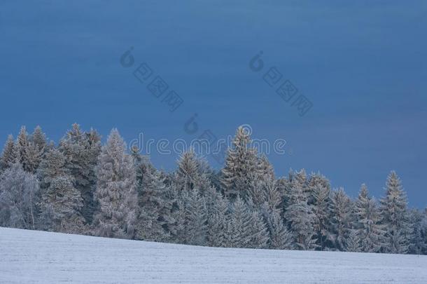 冬风景采用南方放荡不羁的文化人,捷克人共和国