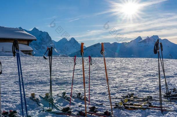 滑雪乡间采用指已提到的人even采用g太阳