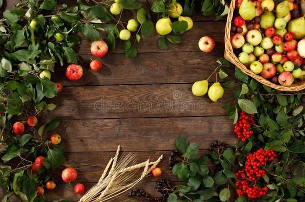 框架关于秋成果,苹果和梨木制的背景.复制品