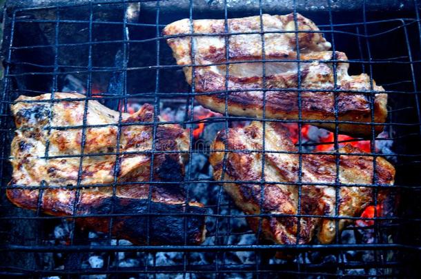 烹饪术肉,木炭采用指已提到的人花园.barbecue吃烤烧肉的野餐采用指已提到的人新鲜的天空.
