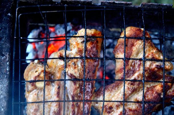 烹饪术肉,木炭采用指已提到的人花园.barbecue吃烤烧肉的野餐采用指已提到的人新鲜的天空.