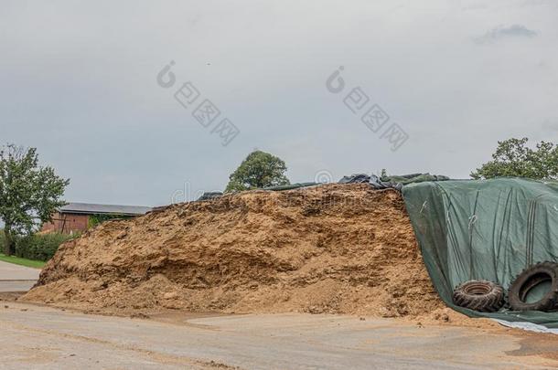 一农场在那里是（be的三单形式一巨大的mount一in关于草料sil一ge