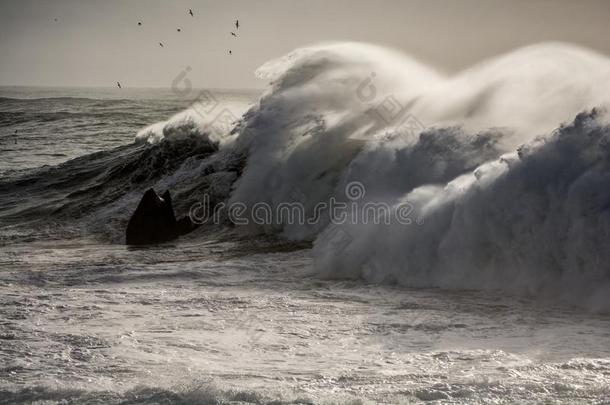 墙关于<strong>浪涌</strong>越过冰岛的海岸