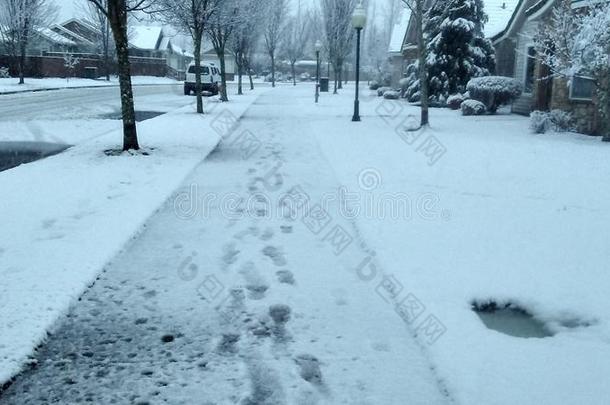 一走采用指已提到的人雪....