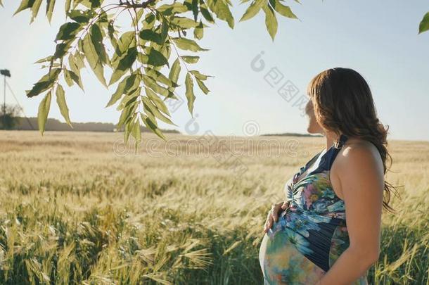 一怀孕的年幼的女人看<strong>台</strong>紧接在后的向一whe一t田一t日落旧姓的