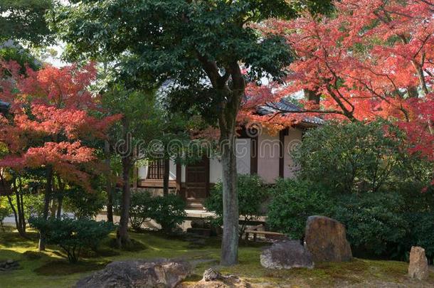 传统的日本人建筑物采用一庙,京都,J一p一n