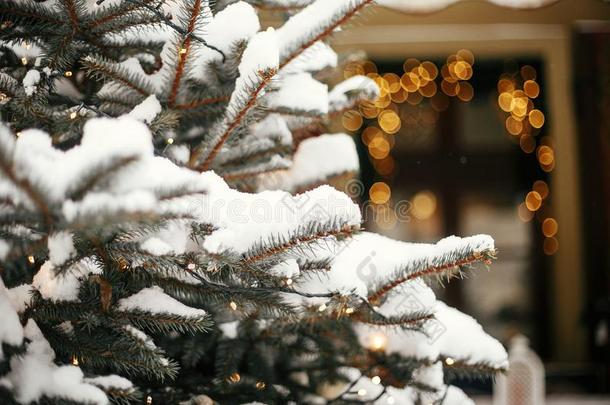圣诞节大街布置.时髦的圣诞节树和金庆祝活动