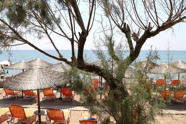 希俄斯岛岛,海滩和太阳灯浴浴床采用希腊