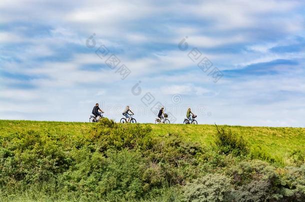 num.四人骑马向自行车采用和煦的：照到阳光的一天采用荷兰
