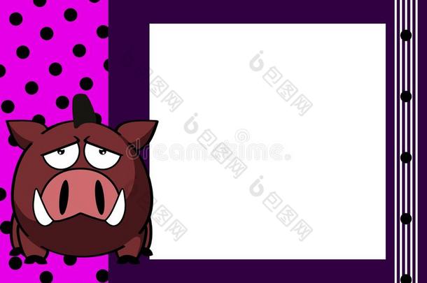 无聊的卡哇伊野生的公猪漫画照片框架背景