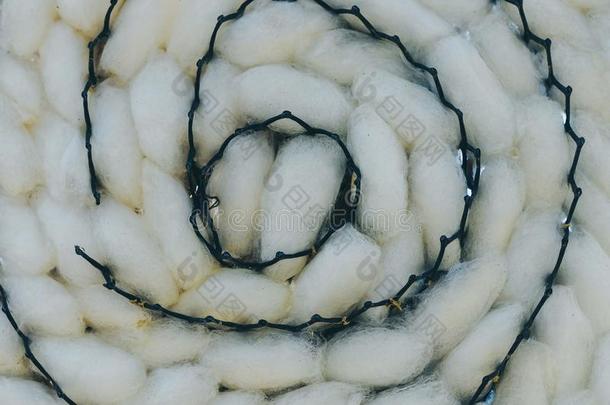 关在上面向自然的白色的蚕茧壳采用黑的塑料制品