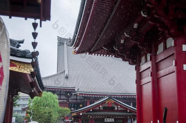 黑色亮漆,东京,在历史上重要的建筑物,浅草庙,金龙莫泰