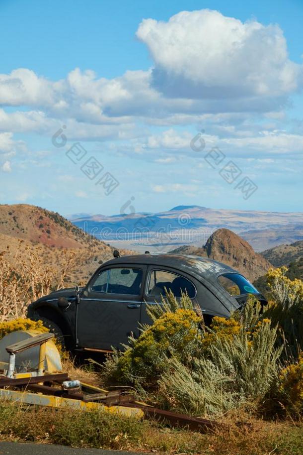 富有色彩的山风景和大众汽车大众汽车