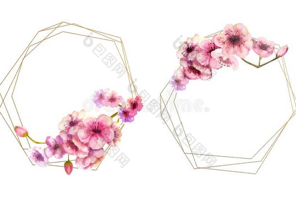 樱桃花,樱花树枝和粉红色的花向金框架一