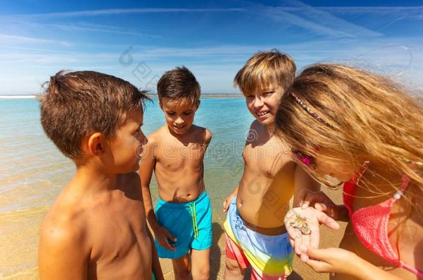 孩子们圆向检查创办向海滩海中软体动物的壳