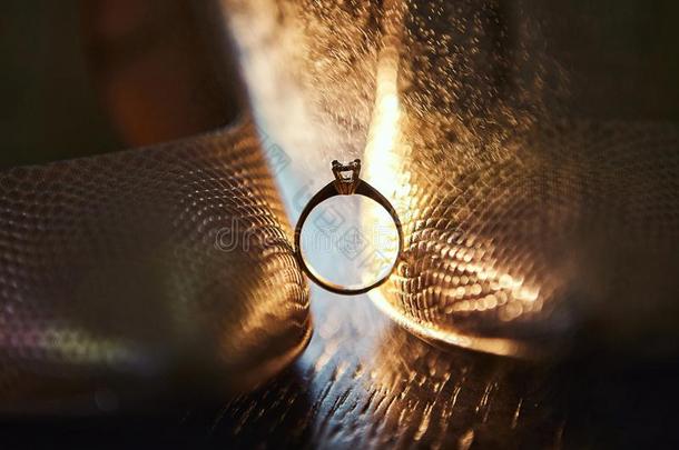 钻石婚礼戒指在之间指已提到的人鞋子关于指已提到的人新娘和弹着点