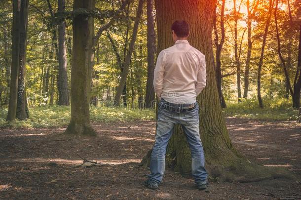 起立男人小便在近处大的树采用秋森林