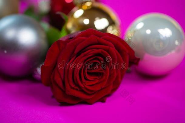 红色的<strong>玫瑰</strong>和圣诞节小玩意向粉红色的背景