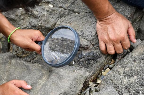 考古学家是使用工具和设备向勘查化石
