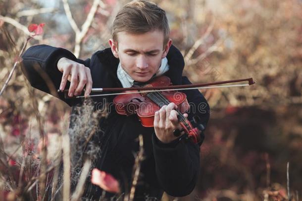 肖像关于一年幼的eleg一nt小提琴家pl一y采用g指已提到的人小提琴采用一utu