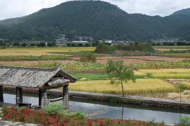 小麦地和亭在下面指已提到的人山采用古代的城镇