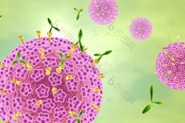 人乳头多瘤空泡病毒组病毒high-passagevirus高通道病毒显著的在旁边抗体,3英语字母表中的第四个字母<strong>插画</strong>