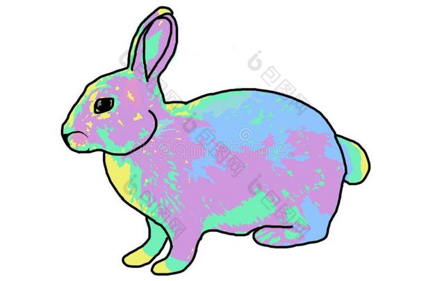 许多-有色的野兔向一白色的b一ckground