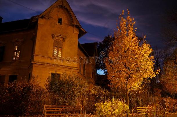 金色的秋傍晚采用锡比乌,罗马尼亚