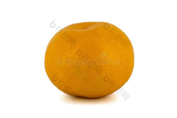 成熟的普通话柑橘属果树隔离的柑橘普通话桔子向白色的