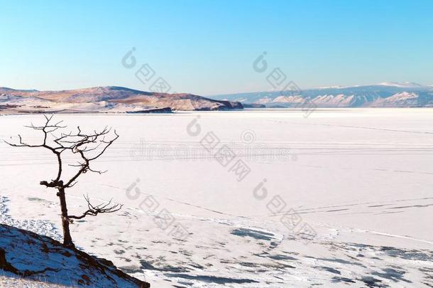 冬风景和湖大量的和冰.湖贝加尔湖,俄罗斯帝国