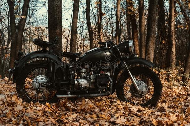 黑的老的俄国的摩托车英语字母表的第11个字母<strong>750</strong>采用秋木材.