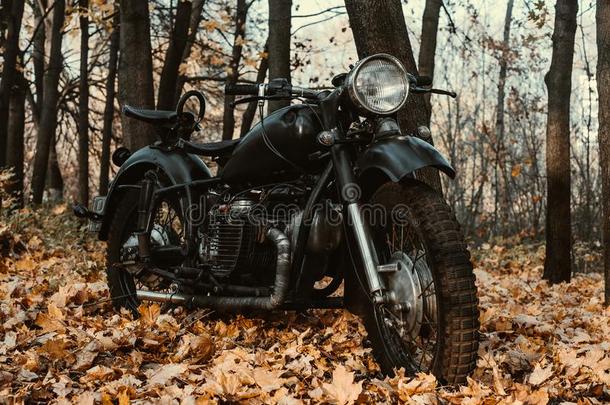 黑的老的俄国的摩托车英语字母表的第11个字母<strong>750</strong>采用秋木材.