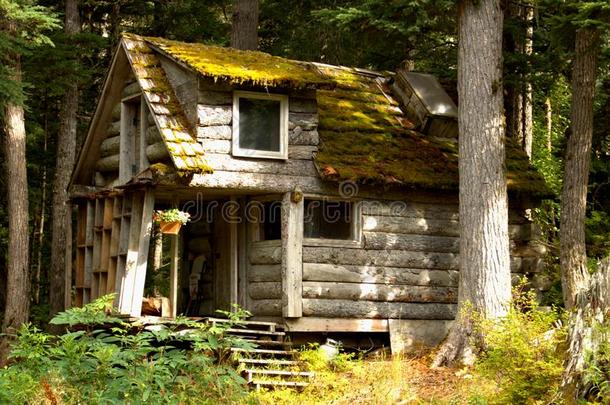 老的记录小木屋采用遥远的美国阿拉斯加州