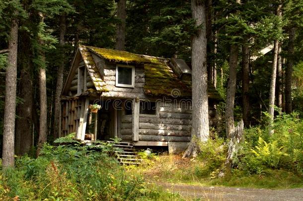 遥远的美国阿拉斯加州小木屋